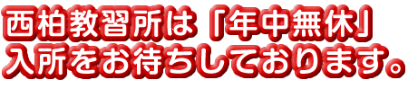 入所はいつでもおまちしております。